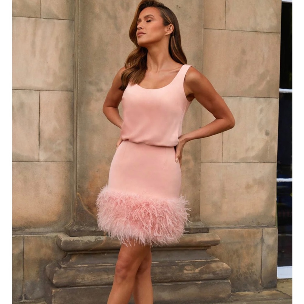 Brand new luxury feather Nadine Merabi Skirt with tags. Size Medium/ UK 10-12